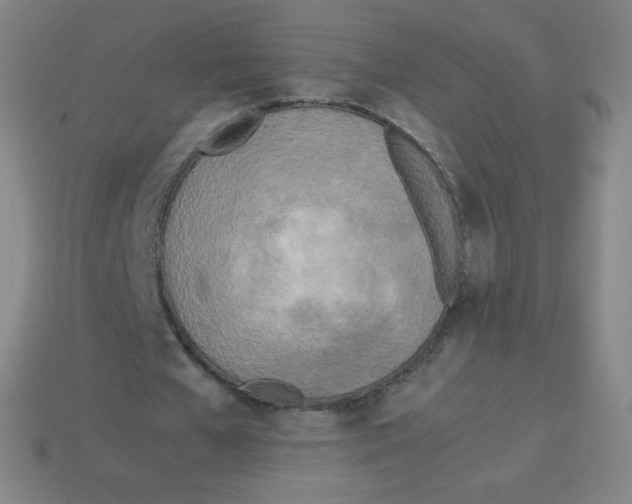 X0000113890577200910221419