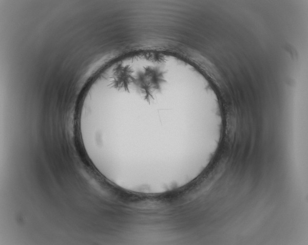 X0000113890578200910221419