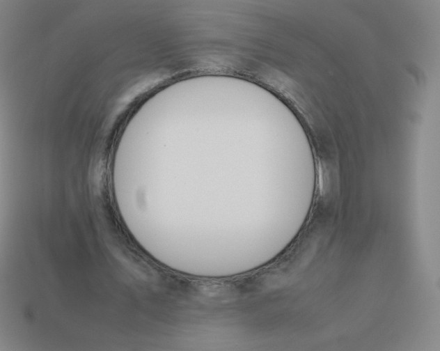 X0000113890579200910221419