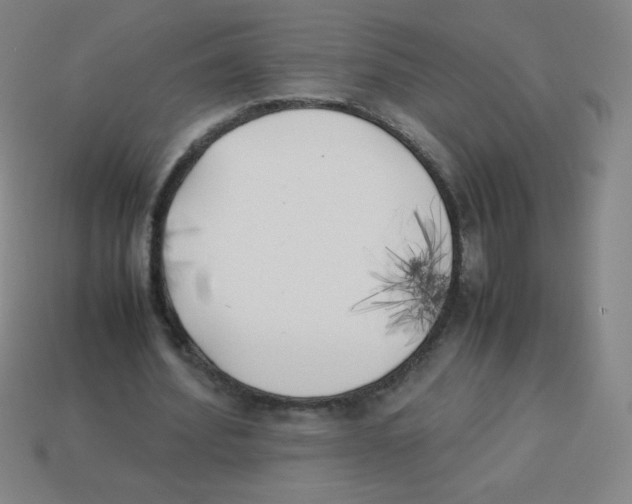 X0000113890580200910221419
