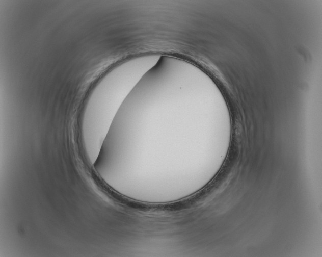X0000113890581200910221419