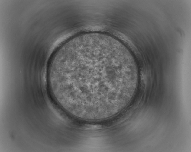 X0000113890582200910221419