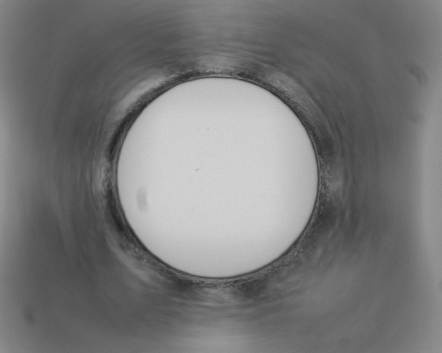 X0000113890583200910221419