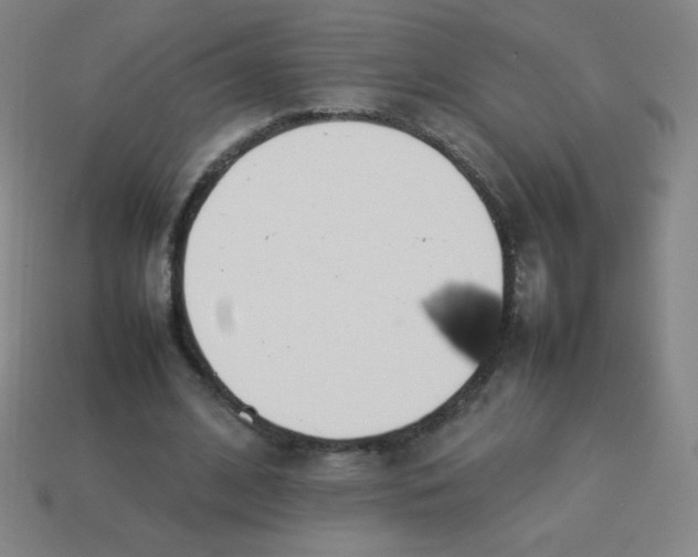 X0000113890584200910221419