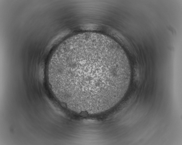 X0000113890586200910221419