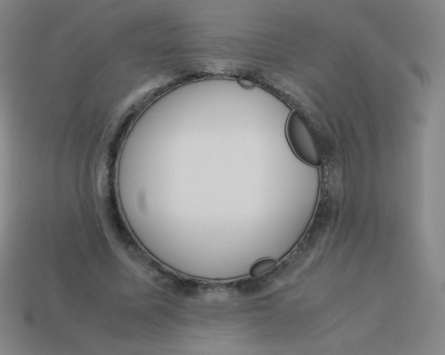 X0000113890587200910221419
