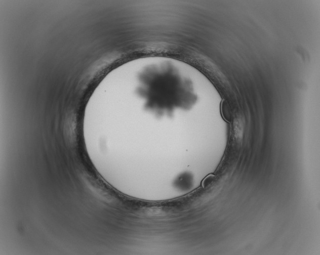 X0000113890588200910221419