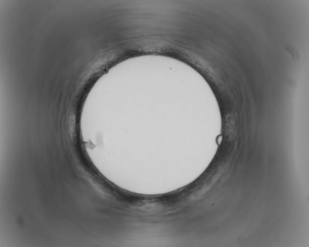 X0000113890589200910221419