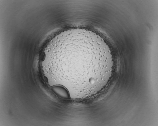 X0000113890590200910221418