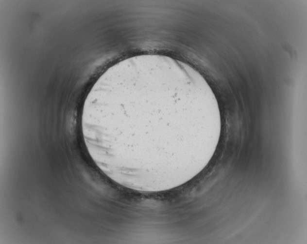 X0000113890592200910221418