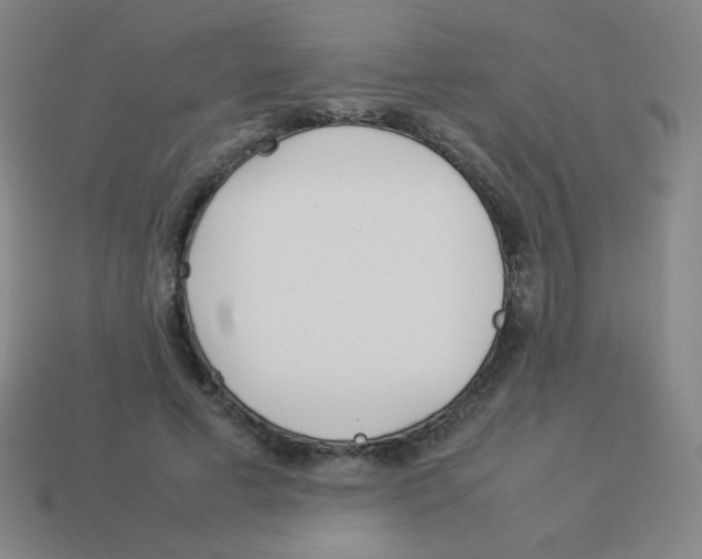 X0000113890593200910221418