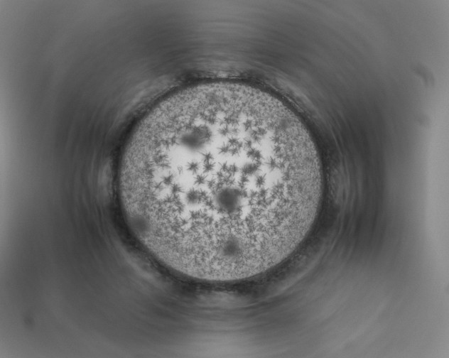 X0000113890594200910221418