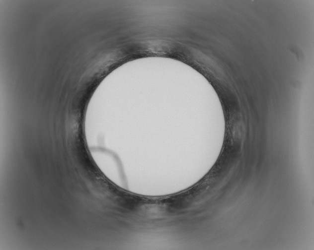 X0000113890595200910221418