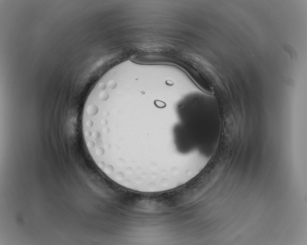 X0000113890596200910221418