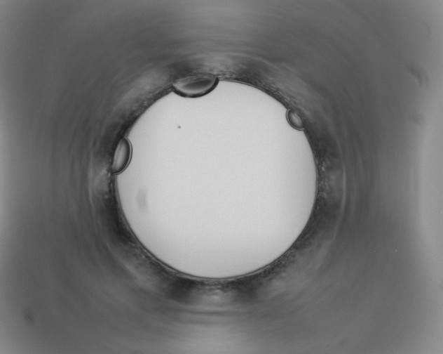 X0000113890597200910221418