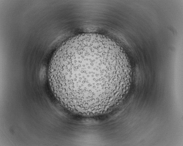 X0000113890598200910221418