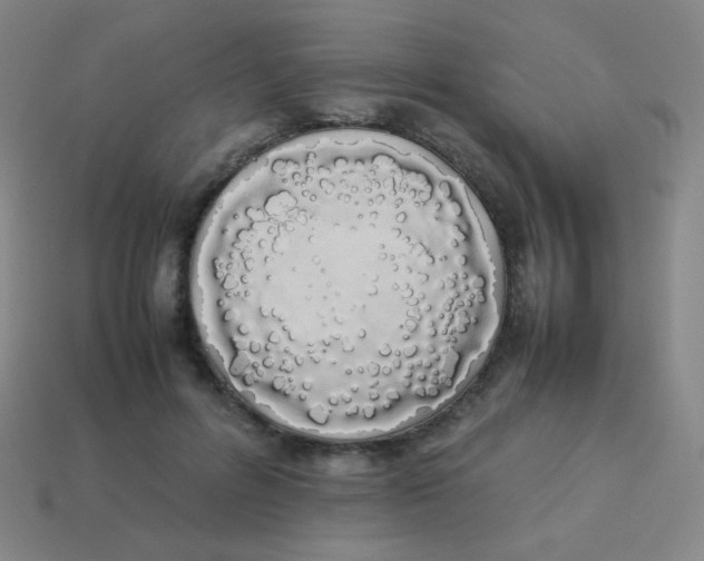 X0000113890600200910221418