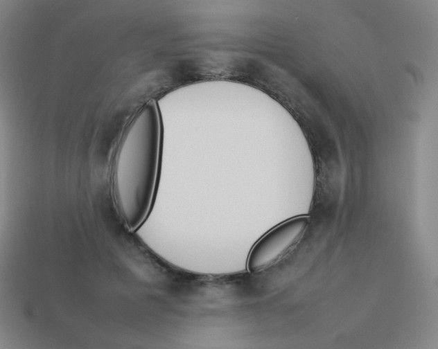 X0000113890601200910221418