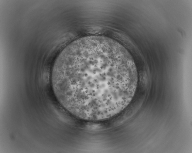 X0000113890602200910221418