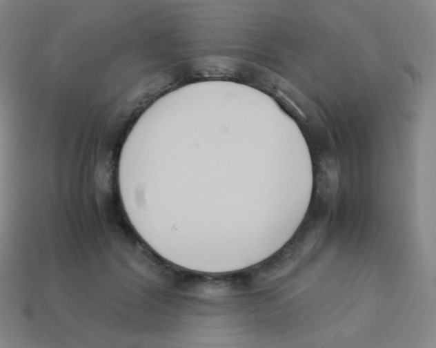 X0000113890604200910221418