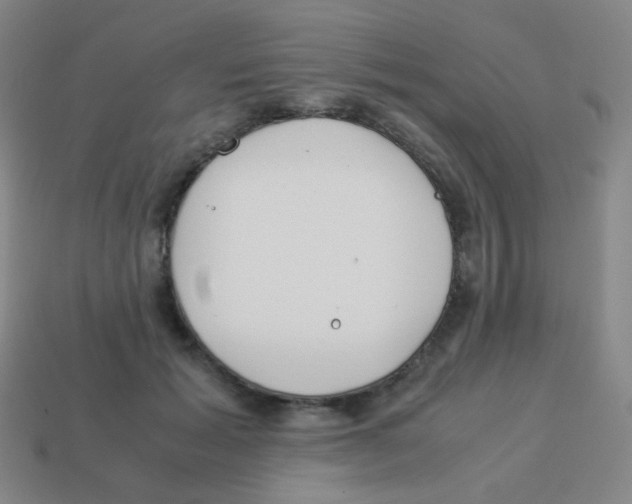X0000113890605200910221418