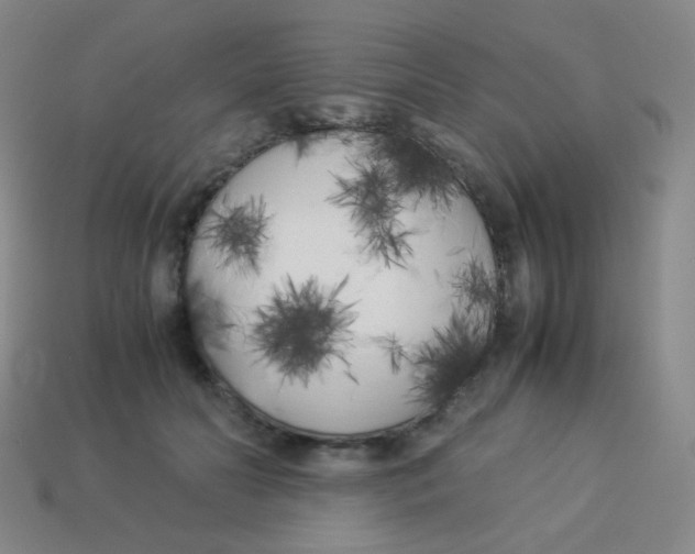 X0000113890606200910221418