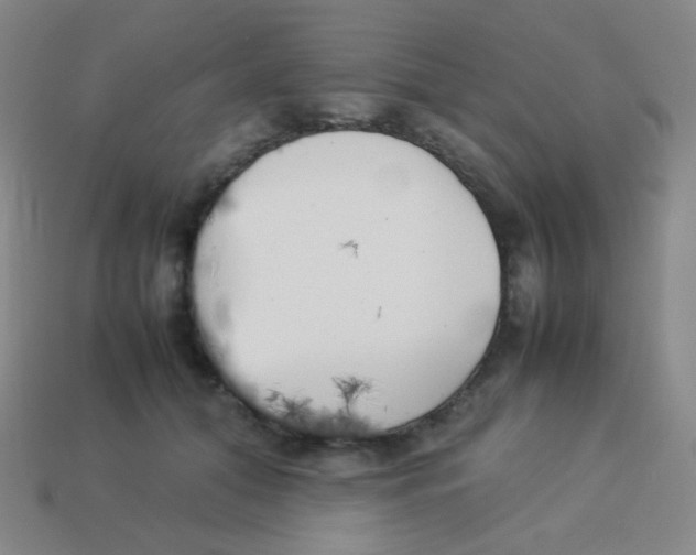 X0000113890608200910221418