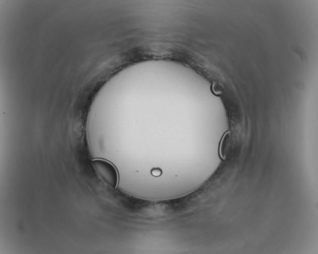 X0000113890609200910221418