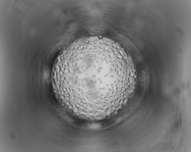 X0000113890610200910221418