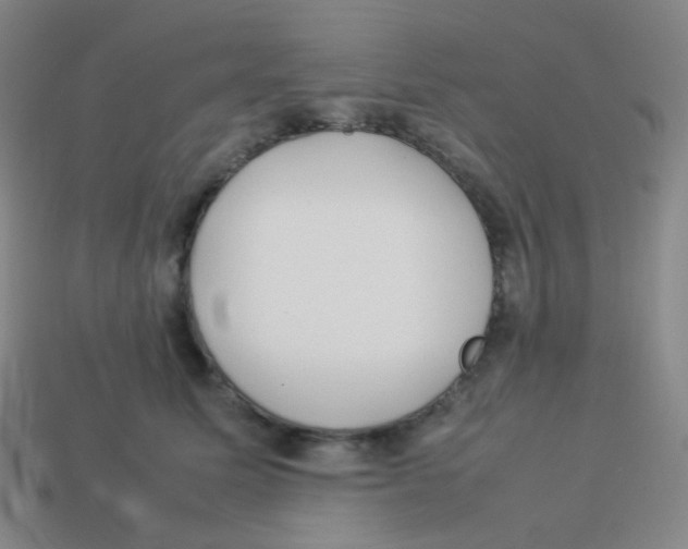 X0000113890611200910221418