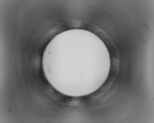 X0000113890612200910221418
