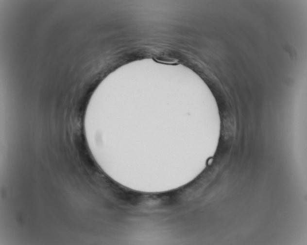 X0000113890613200910221418