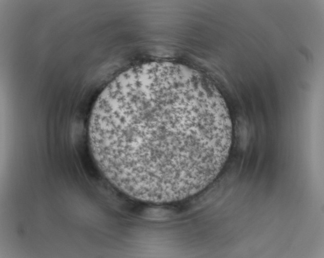 X0000113890614200910221418
