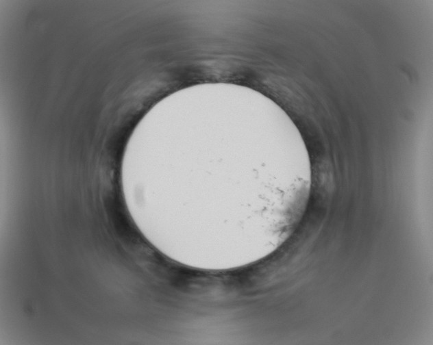 X0000113890615200910221418