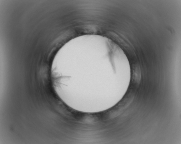 X0000113890616200910221418