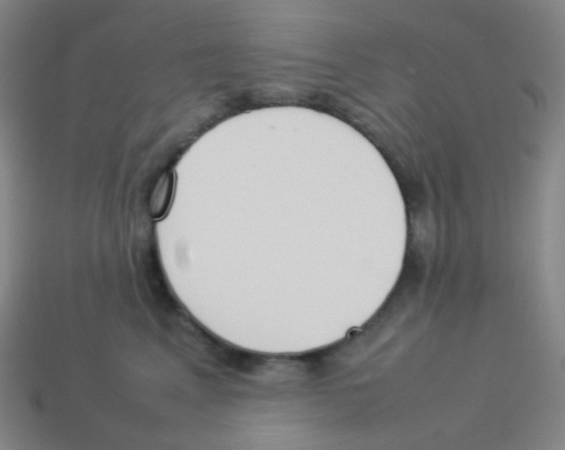 X0000113890617200910221418