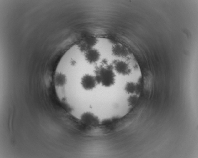 X0000113890618200910221418