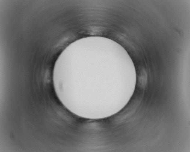 X0000113890620200910221418