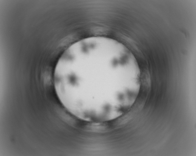 X0000113890622200910221418