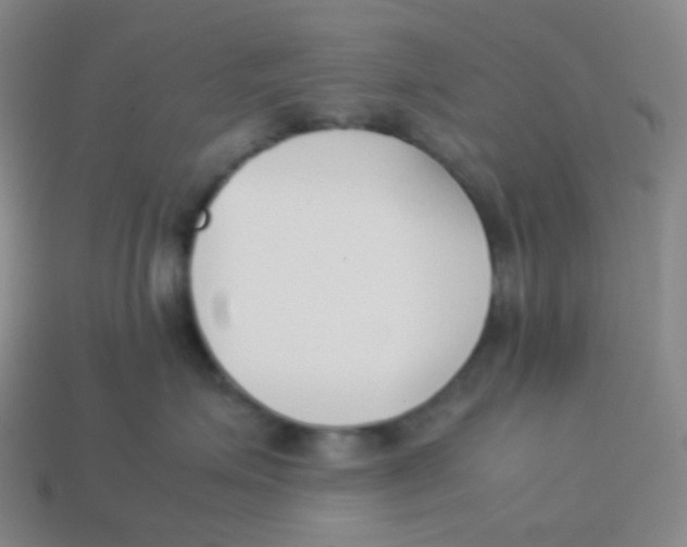 X0000113890623200910221418