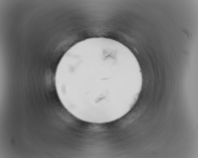 X0000113890624200910221418