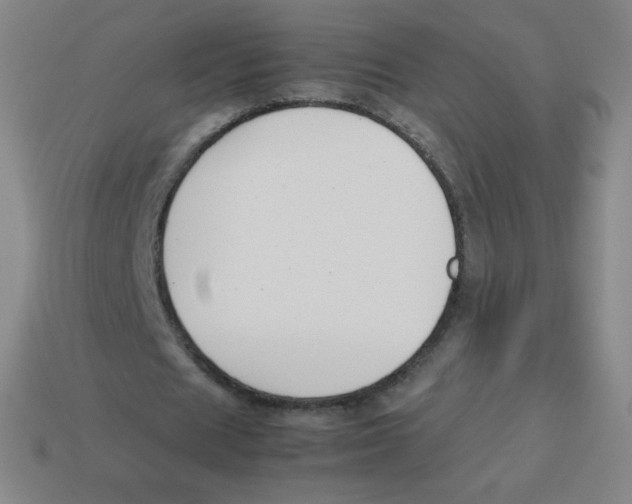 X0000113890625200910221417