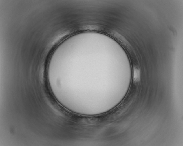 X0000113890627200910221417