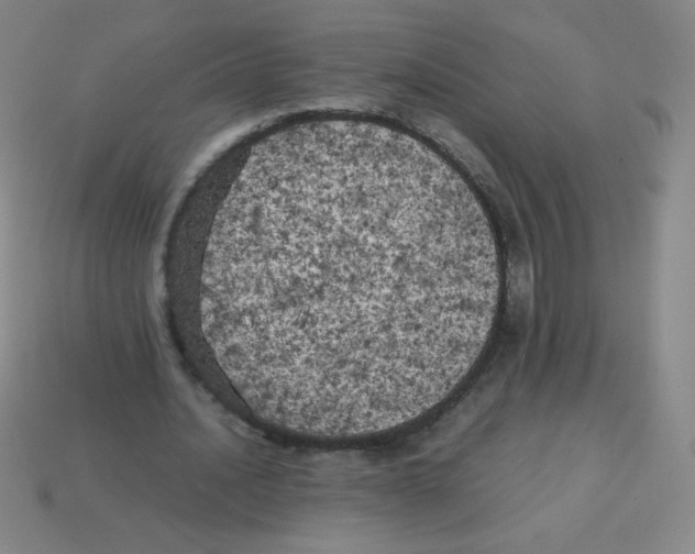 X0000113890628200910221417