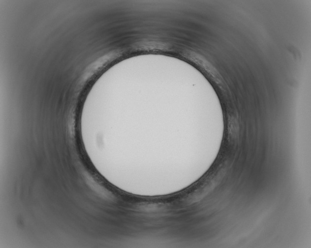 X0000113890629200910221417