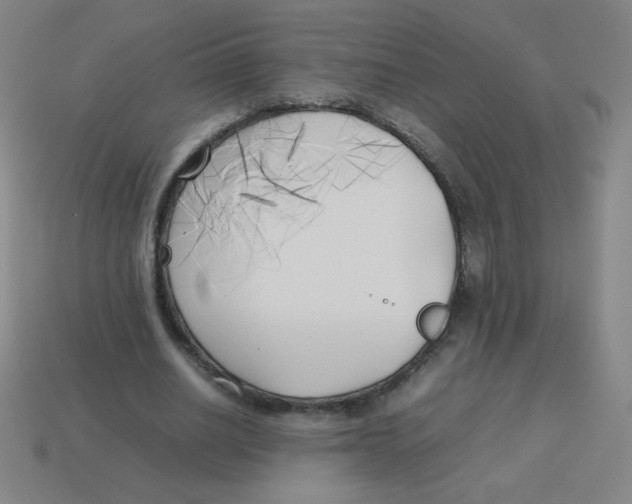 X0000113890630200910221418