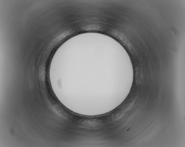 X0000113890631200910221418