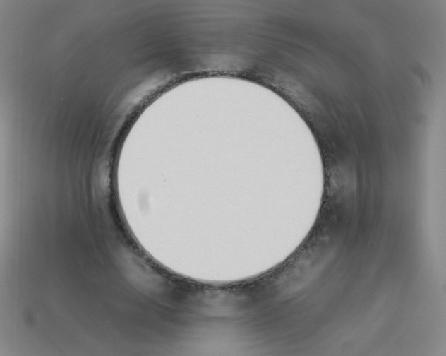 X0000113890632200910221418