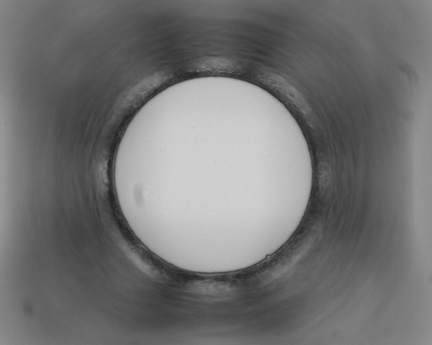 X0000113890633200910221418