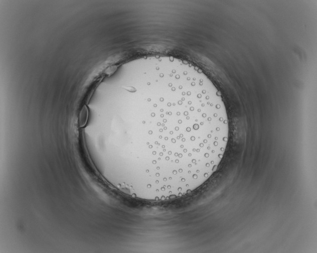 X0000113890634200910221418
